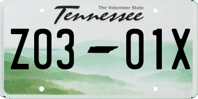 TN license plate Z0301X