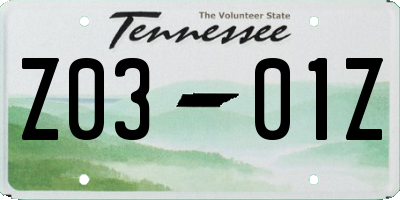 TN license plate Z0301Z