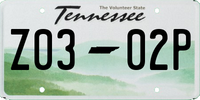 TN license plate Z0302P