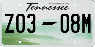 TN license plate Z0308M