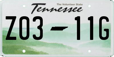 TN license plate Z0311G