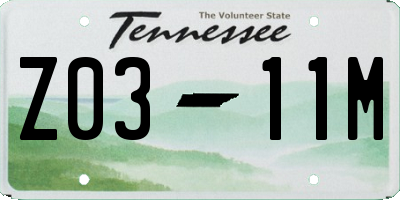 TN license plate Z0311M