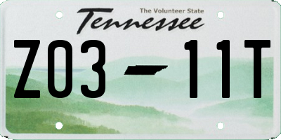 TN license plate Z0311T