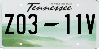 TN license plate Z0311V