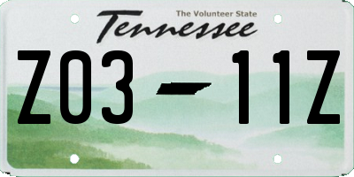 TN license plate Z0311Z