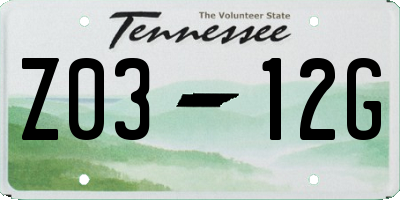 TN license plate Z0312G