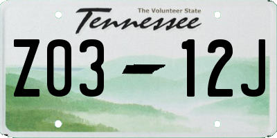 TN license plate Z0312J