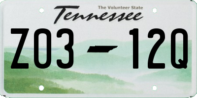TN license plate Z0312Q