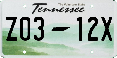 TN license plate Z0312X