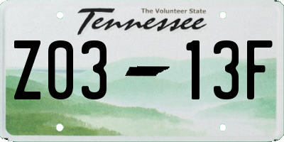 TN license plate Z0313F