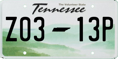 TN license plate Z0313P