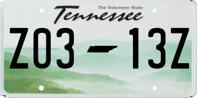 TN license plate Z0313Z