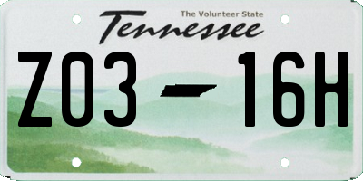 TN license plate Z0316H
