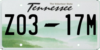 TN license plate Z0317M