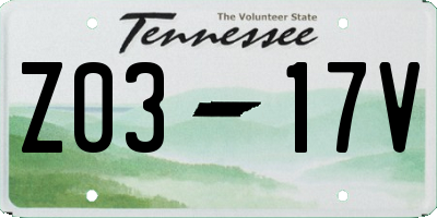TN license plate Z0317V