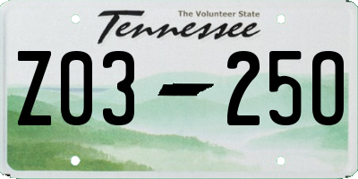 TN license plate Z0325O