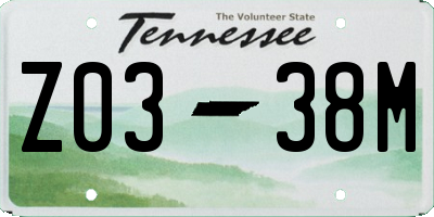 TN license plate Z0338M