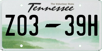 TN license plate Z0339H