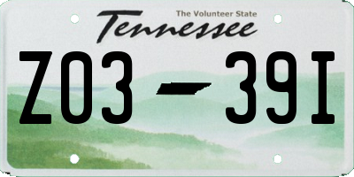 TN license plate Z0339I
