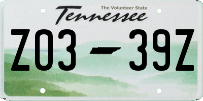 TN license plate Z0339Z