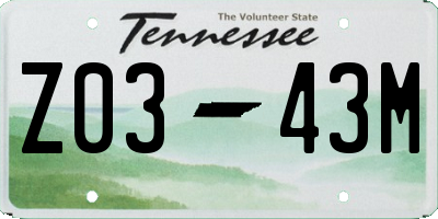 TN license plate Z0343M