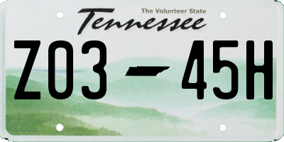 TN license plate Z0345H
