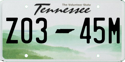 TN license plate Z0345M