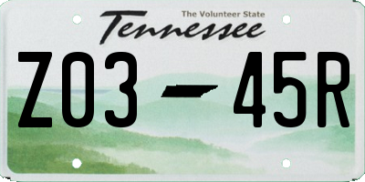 TN license plate Z0345R