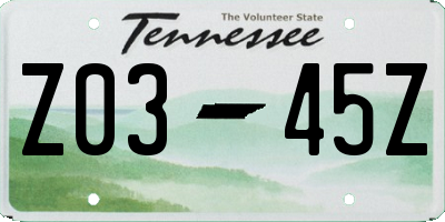 TN license plate Z0345Z
