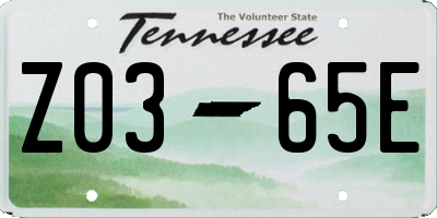 TN license plate Z0365E
