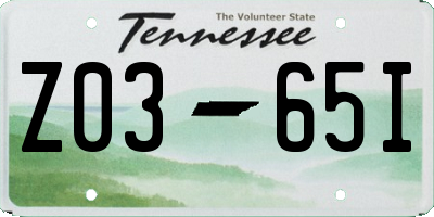 TN license plate Z0365I