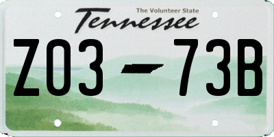 TN license plate Z0373B