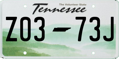 TN license plate Z0373J