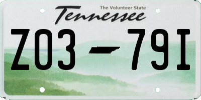 TN license plate Z0379I
