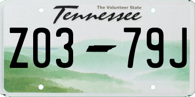 TN license plate Z0379J