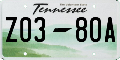 TN license plate Z0380A