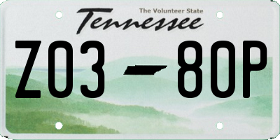 TN license plate Z0380P