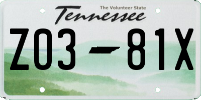 TN license plate Z0381X