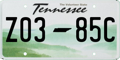 TN license plate Z0385C