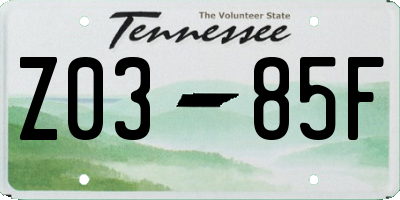 TN license plate Z0385F
