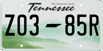 TN license plate Z0385R