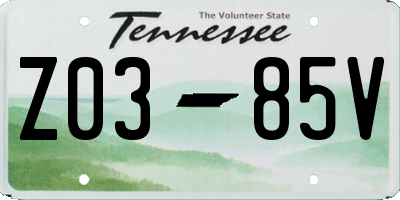 TN license plate Z0385V