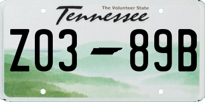 TN license plate Z0389B