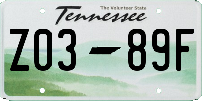 TN license plate Z0389F