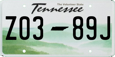 TN license plate Z0389J