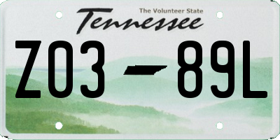 TN license plate Z0389L