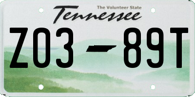 TN license plate Z0389T