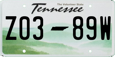 TN license plate Z0389W