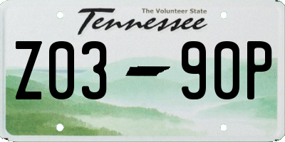 TN license plate Z0390P