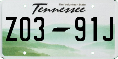 TN license plate Z0391J